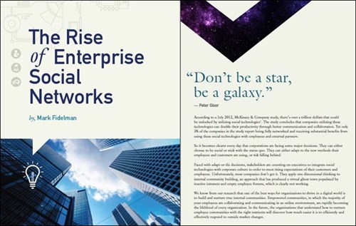 The Rise of Enterprise Social Networks Book Cover Image