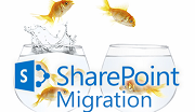 Content Migration Icon