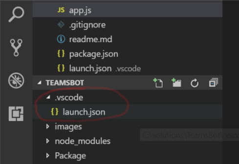 launch.json