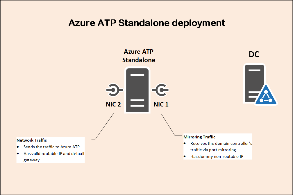 Network and Mirroring Traffic