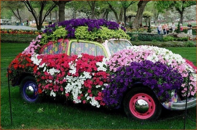 Car of flower decoration?