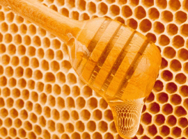 Boost Internal Communications with a Honey-Coated Intranet